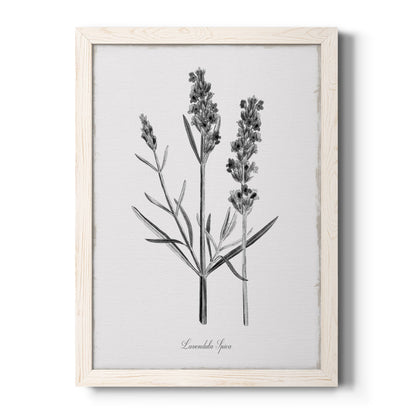 Simply Lavender - Premium Canvas Framed in Barnwood - Ready to Hang