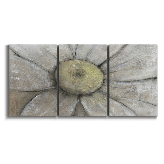 Three-panel canvas wall art featuring close up daisy floral study on white background.