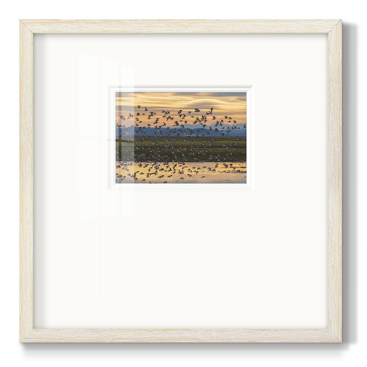 Sunset Flight Premium Framed Print Double Matboard