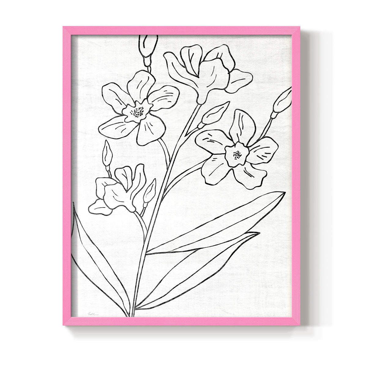 Botanical Sketch I - Restickable Framed Art Print