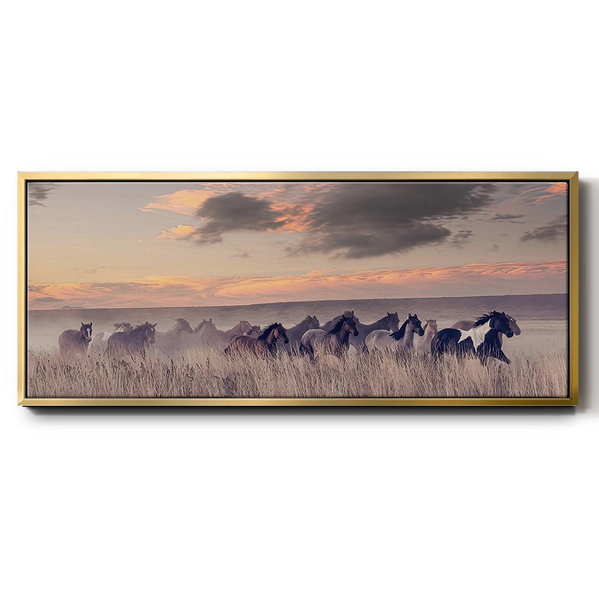 Wild and Free II - Floater Framed Canvas Print