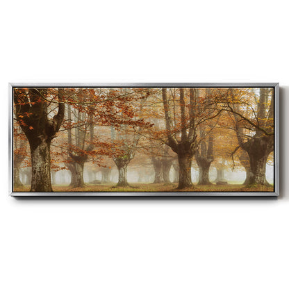 Misty Pan - Floater Framed Canvas Print
