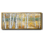 Birch Path II - Floater Framed Canvas Print