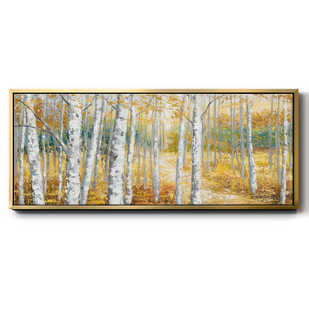 Birch Path II - Floater Framed Canvas Print