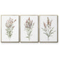 Dainty Botanical I - Framed Premium Gallery Wrapped Canvas L Frame 3 Piece Set - Ready to Hang