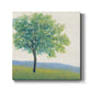 Solitary Tree I - Canvas Art Print