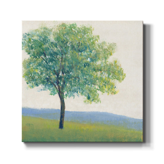 Solitary Tree I - Canvas Art Print