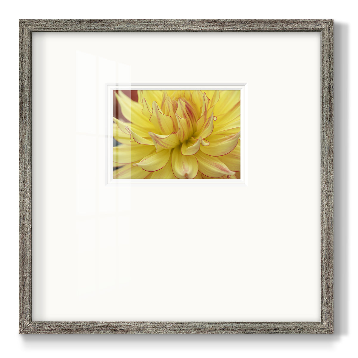 Blooms I Premium Framed Print Double Matboard