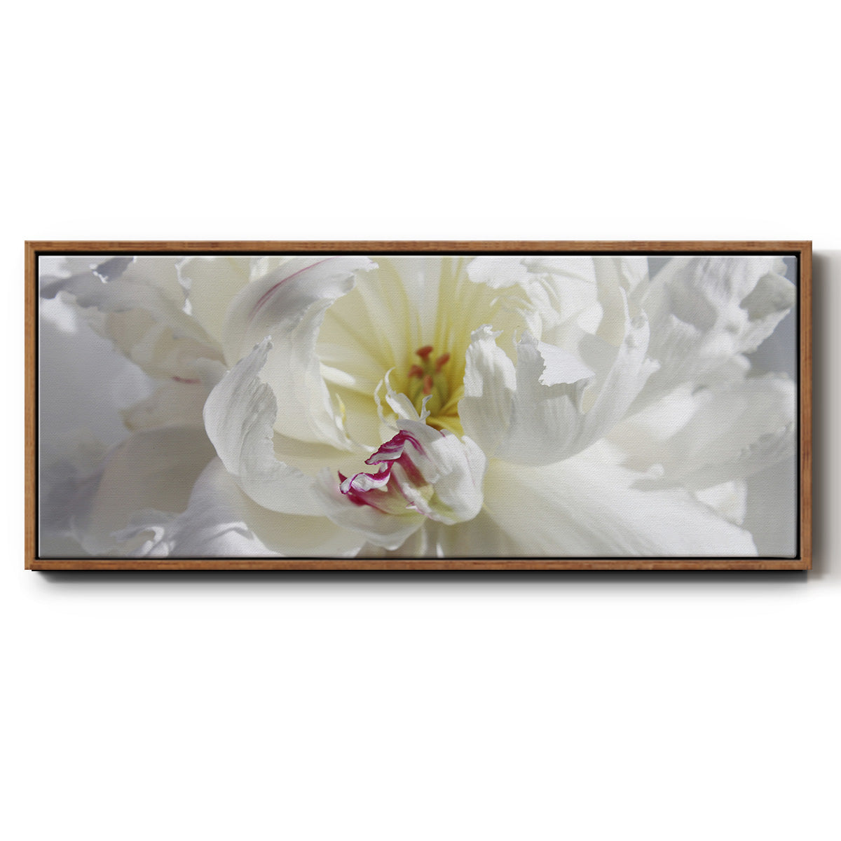 Breathless V - Floater Framed Canvas Print