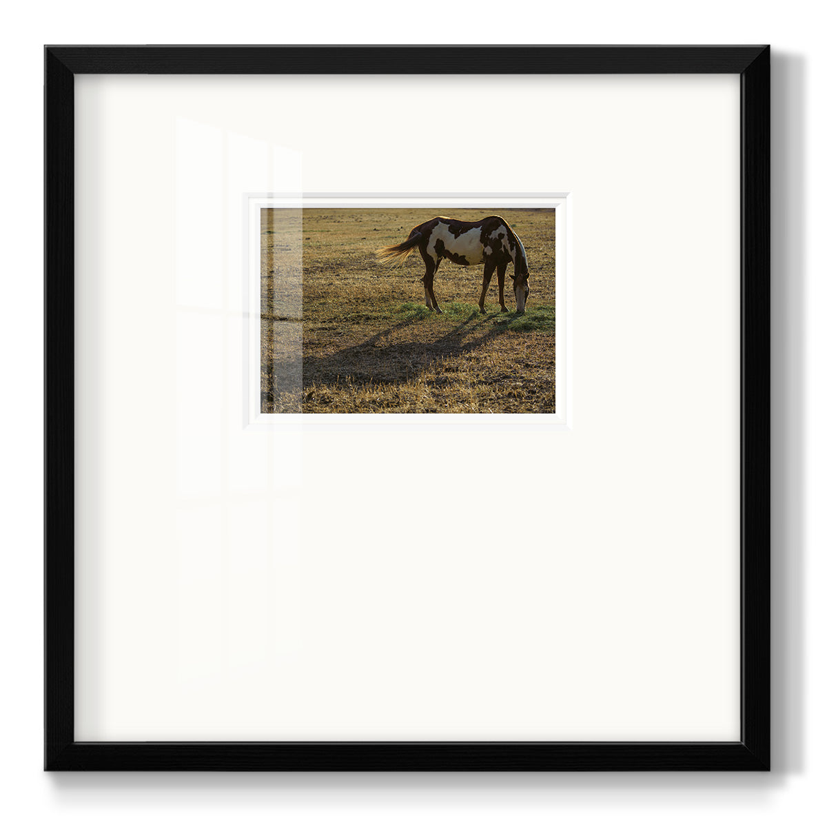Long Shadow - Double Matboard Framed Print
