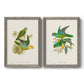 Lime & Cerulean Parrots I - Barnwood Framed Canvas Set