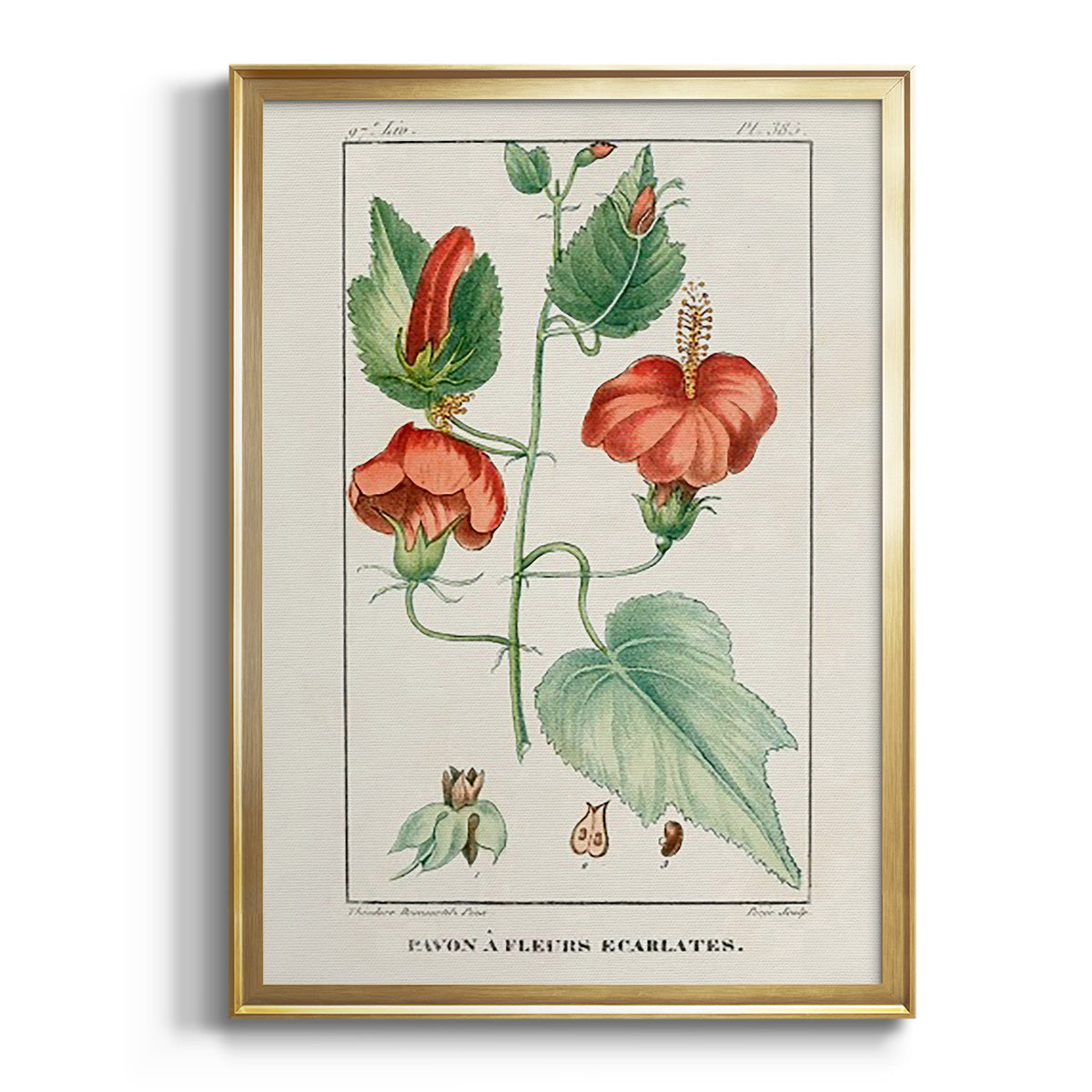 Turpin Tropical Botanicals IV - Modern Framed Canvas Print