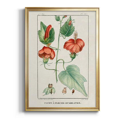 Turpin Tropical Botanicals IV - Modern Framed Canvas Print