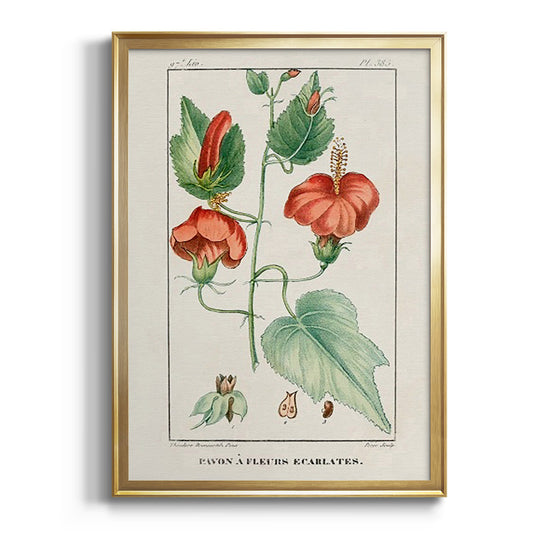 Turpin Tropical Botanicals IV - Modern Framed Canvas Print