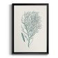 Antique Coastal Coral I - Modern Framed Canvas Print