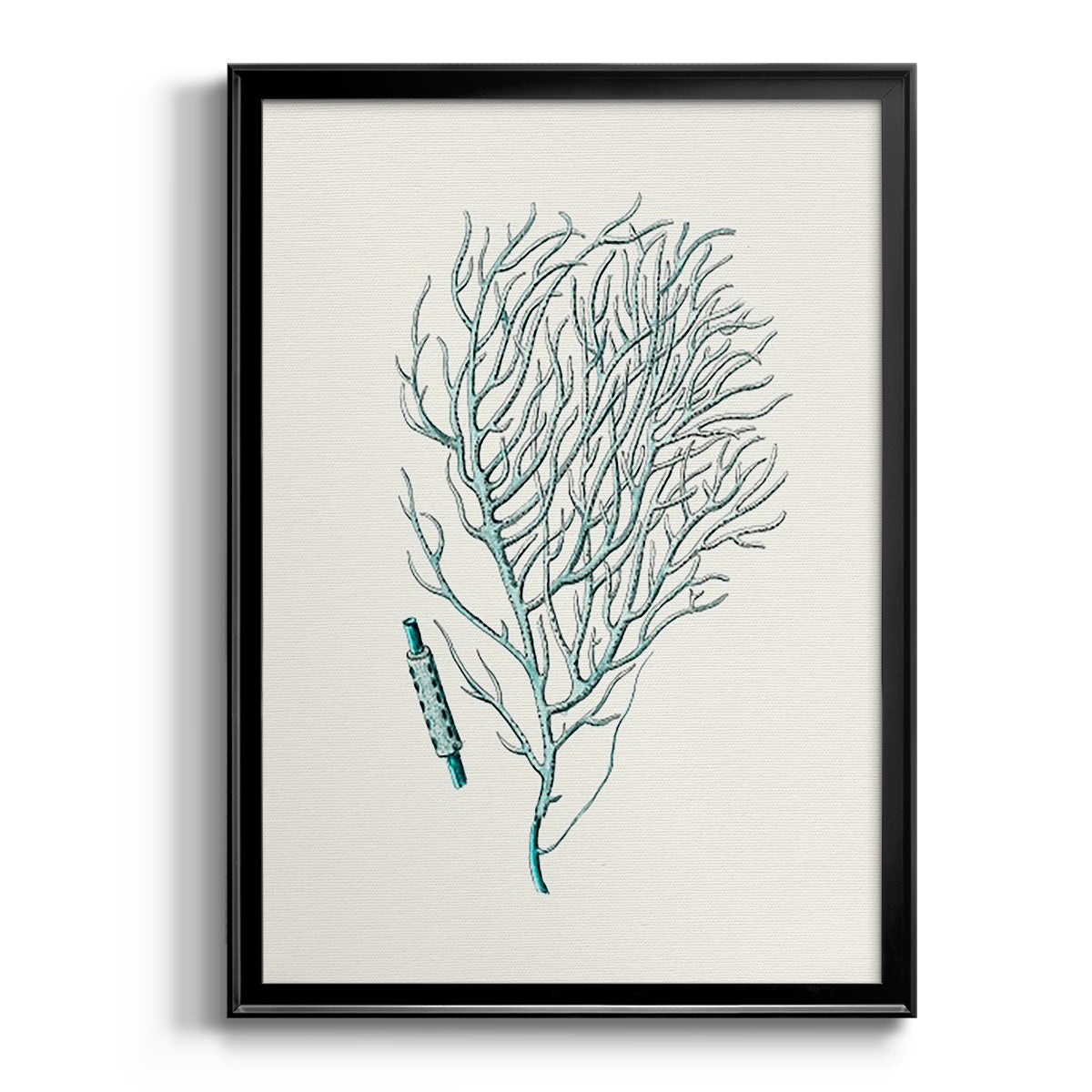 Antique Coastal Coral I - Modern Framed Canvas Print