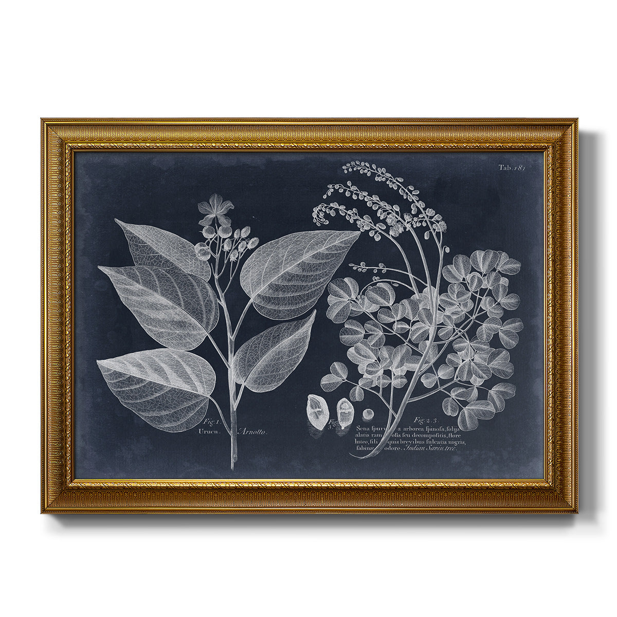 Foliage on Navy III Premium Framed Canvas- Ready to Hang