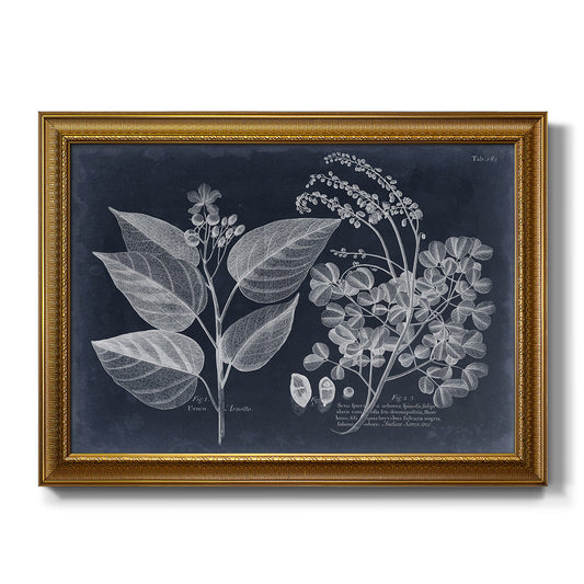 Foliage on Navy III - Ornate Framed Canvas Print