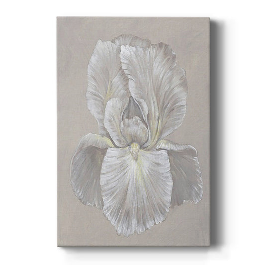 White Iris I - Canvas Art Print