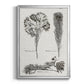 Black & White Protea on Linen I - Modern Framed Canvas Print