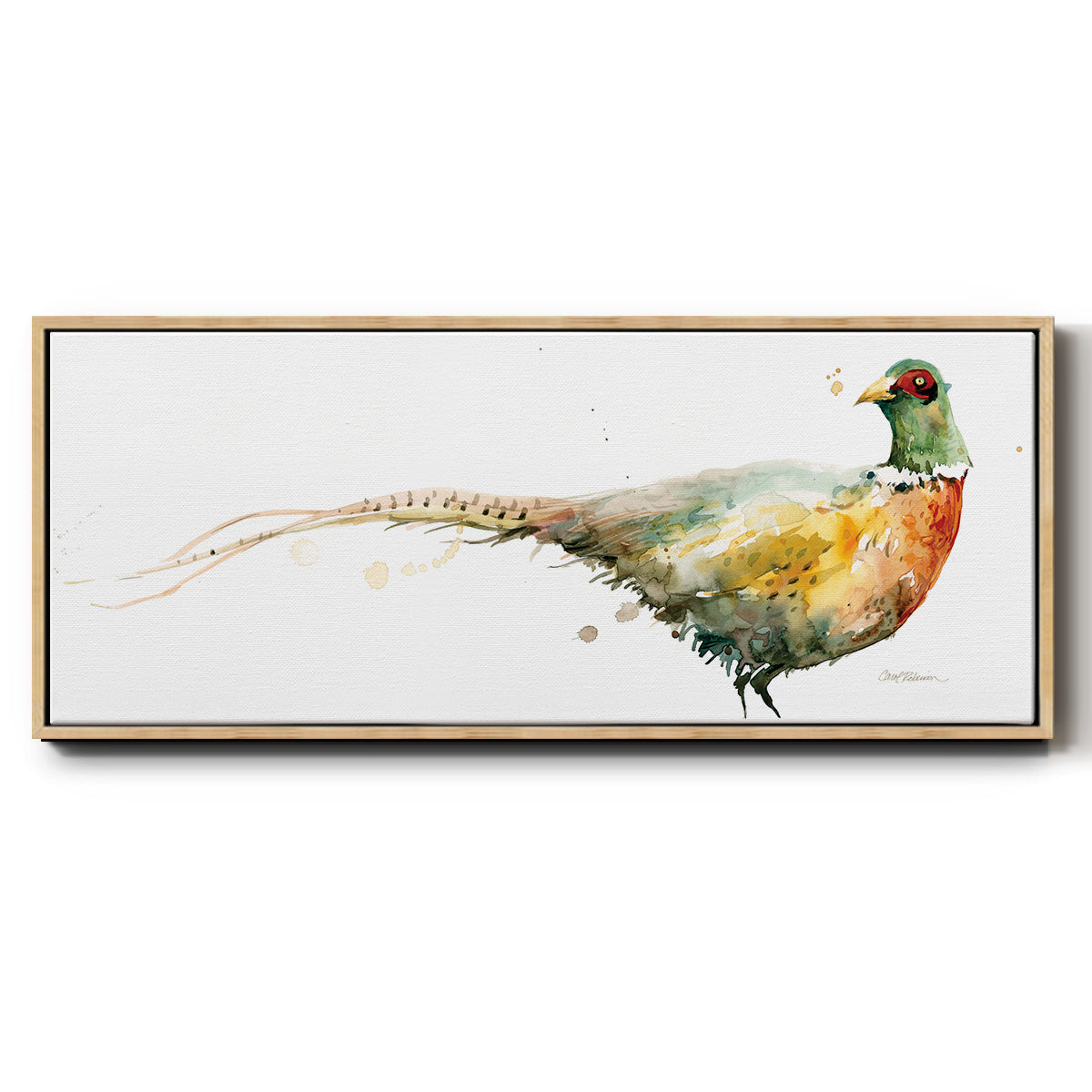 Harvest Pheasant - Floater Framed Canvas Print