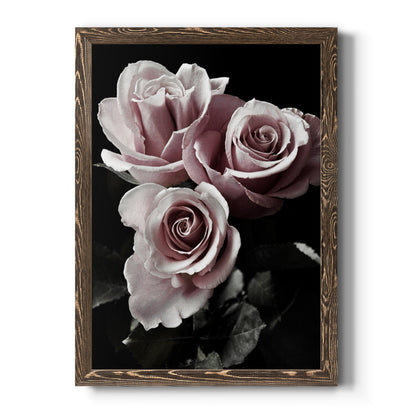 Rose Noir I - Barnwood Framed Canvas Print