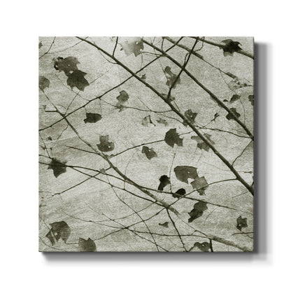 Laced Sky II - Canvas Art Print