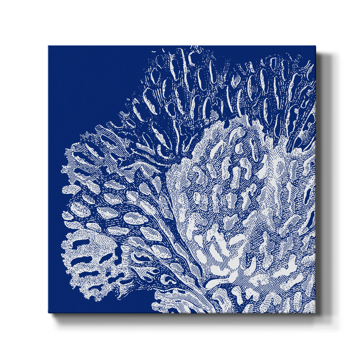 Saturated Coral III - Canvas Art Print