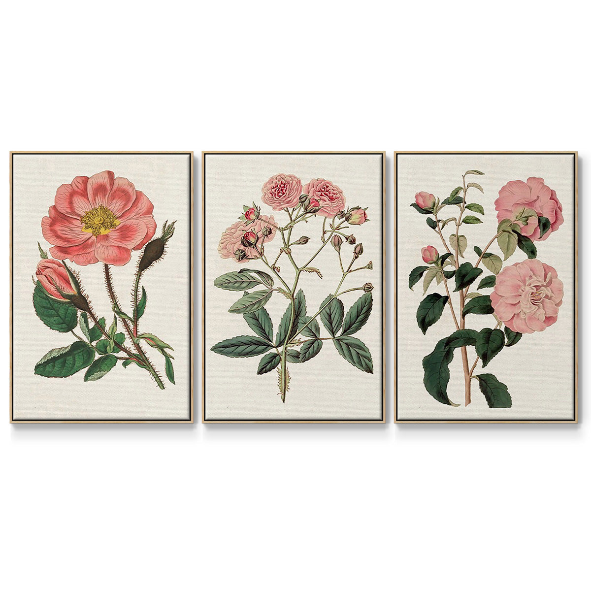 Pink Floral Mix IV - Framed Premium Gallery Wrapped Canvas L Frame 3 Piece Set - Ready to Hang