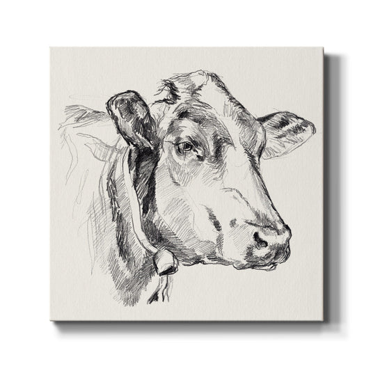 Holstein Portrait Sketch I - Canvas Art Print