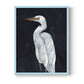 Calm Great Egret I - Restickable Framed Art Print