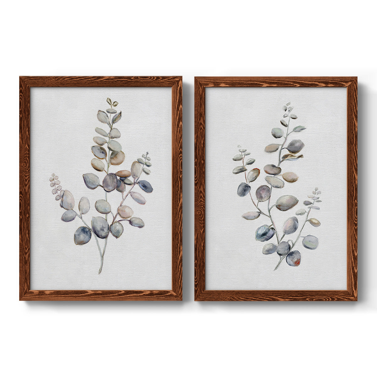 Eucalyptus I - Premium Framed Canvas 2 Piece Set - Ready to Hang