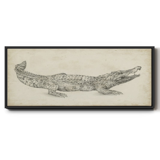 Crocodile Sketch - Floater Framed Canvas Print