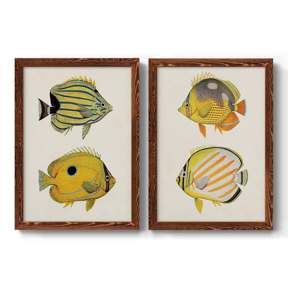 Yellow & Grey Fish III - Premium Framed Canvas 2 Piece Set - Ready to Hang