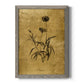 Gold Sketch Botanical I - Barnwood Framed Canvas Print