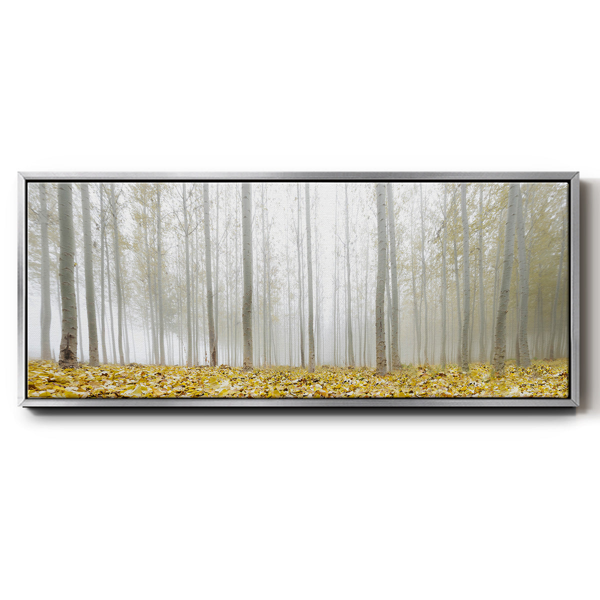 Poplar Grove - Floater Framed Canvas Print
