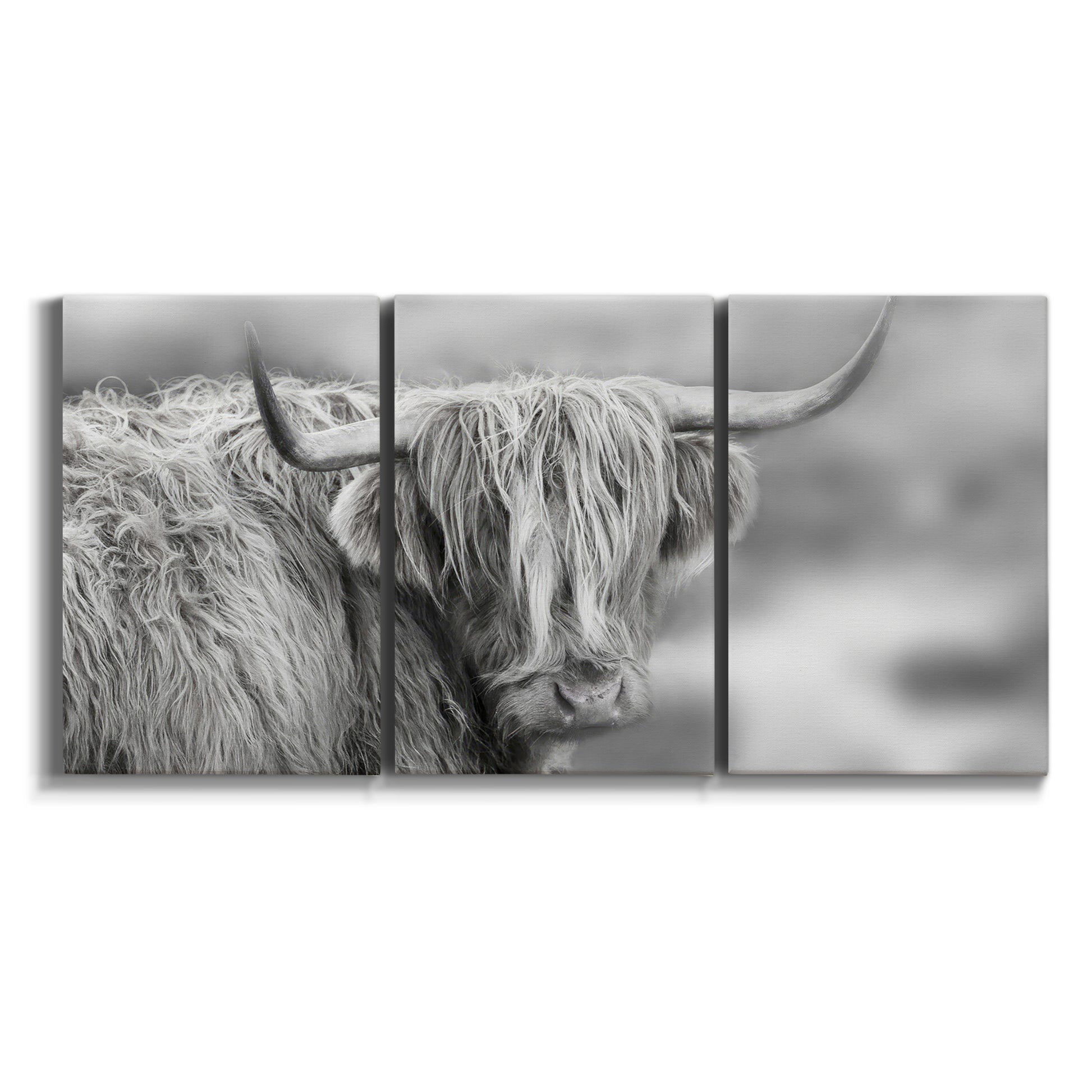 Three-panel canvas wall art featuring large highland cow portrait on white background.