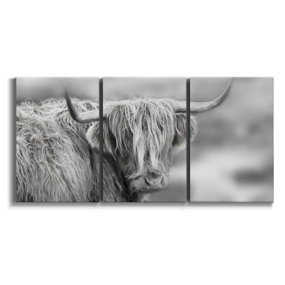 Three-panel canvas wall art featuring large highland cow portrait on white background.