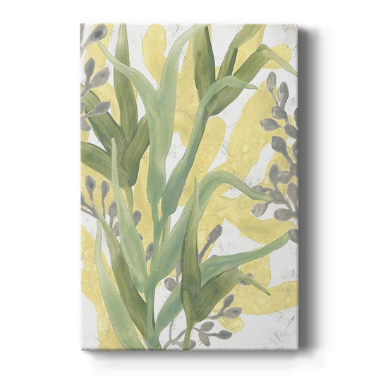 Sea Grass Fresco II - Canvas Art Print