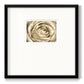 Neutral Wall Flower IV - Double Matboard Framed Print