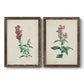 Traditional Botanical I - Barnwood Framed Canvas Set