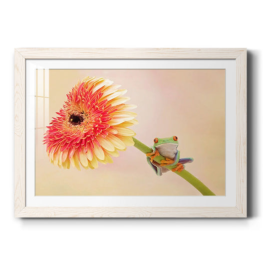 Hanging On IX-Premium Framed Print - Ready to Hang