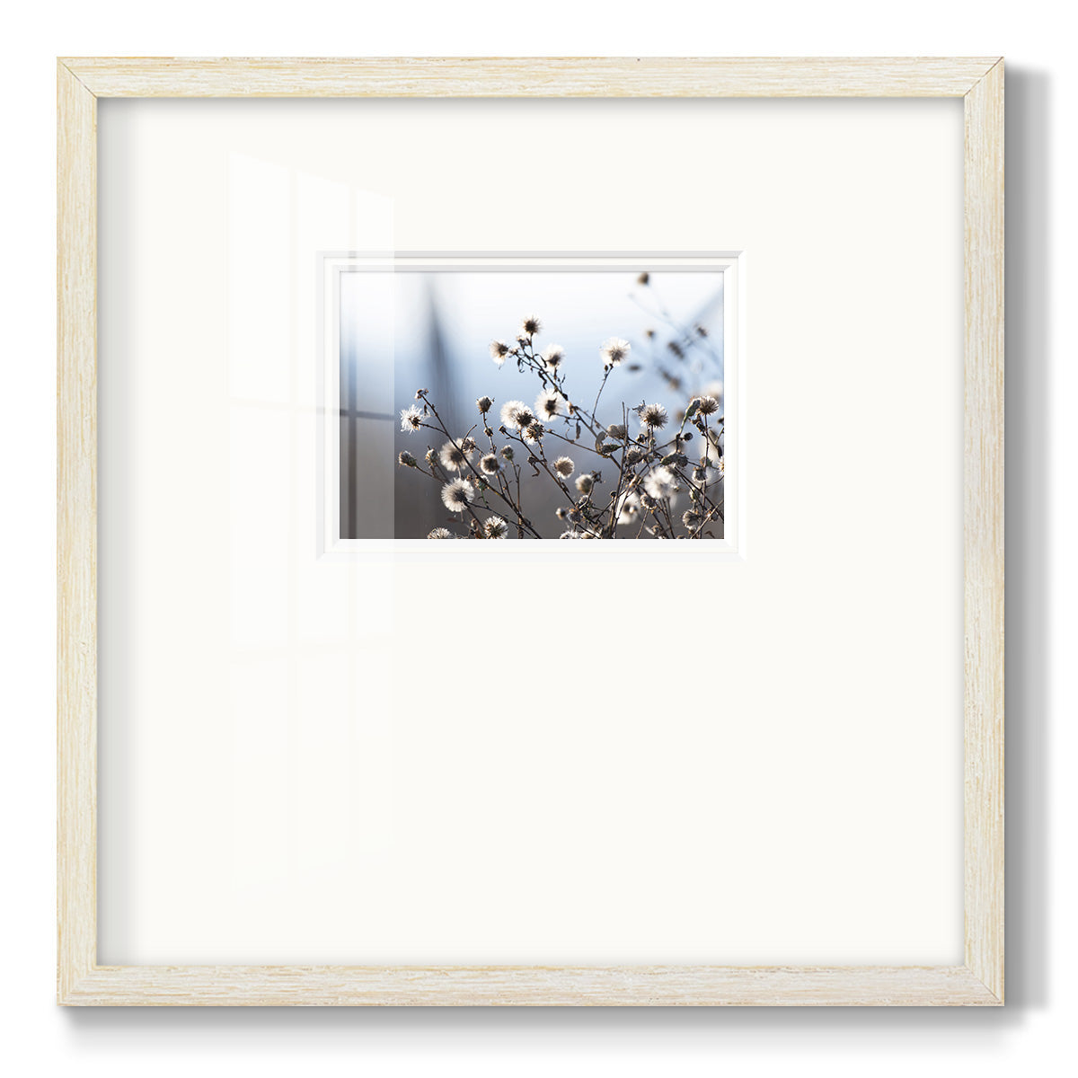 Spring Fluff- Premium Framed Print Double Matboard