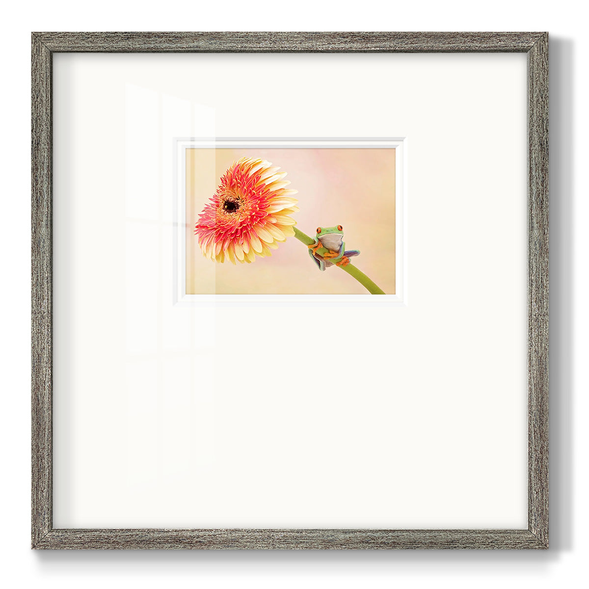 Hanging On IX Premium Framed Print Double Matboard