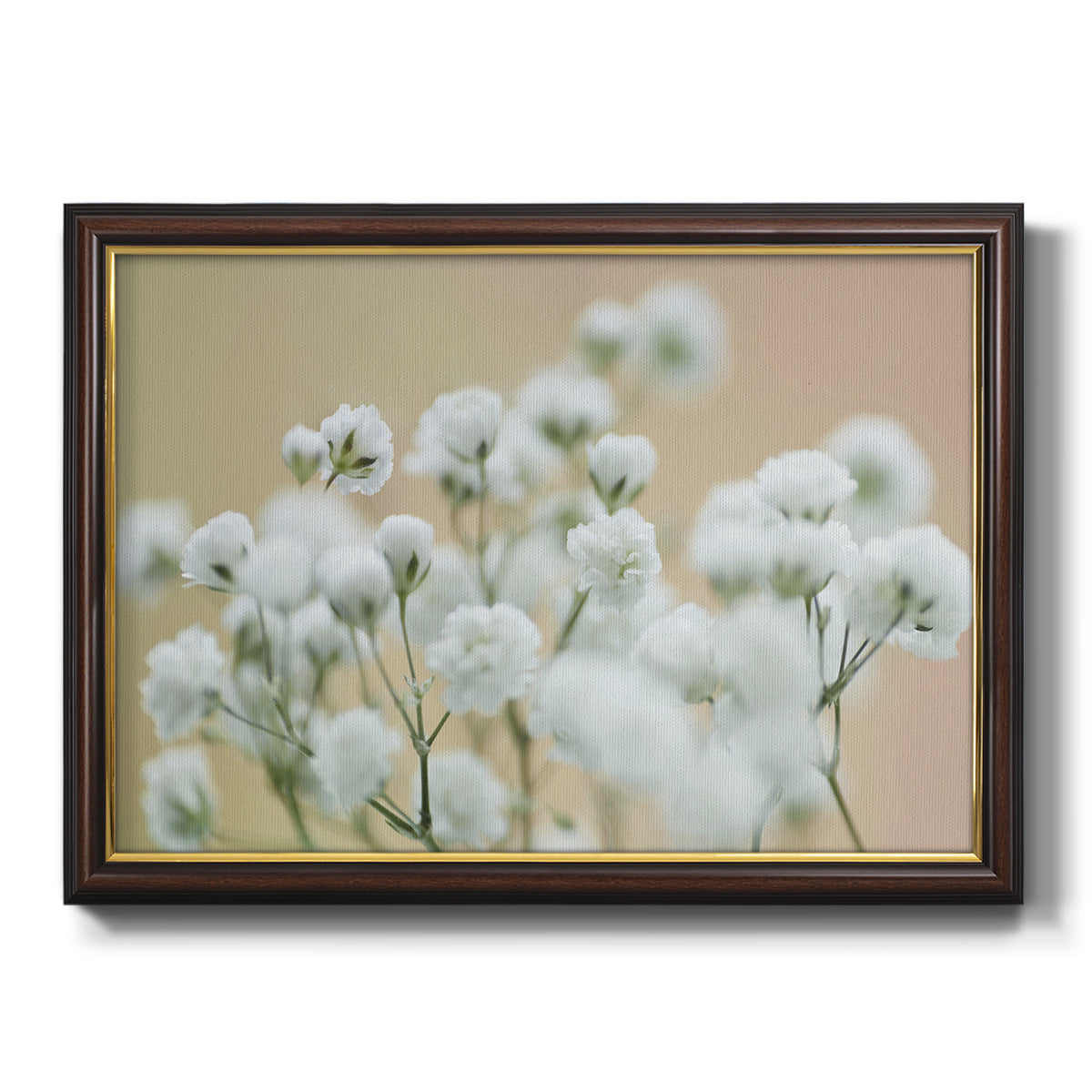 Baby's Breath Study II Premium Framed Canvas- Ready to Hang