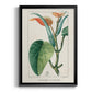 Turpin Tropical Botanicals II - Modern Framed Canvas Print