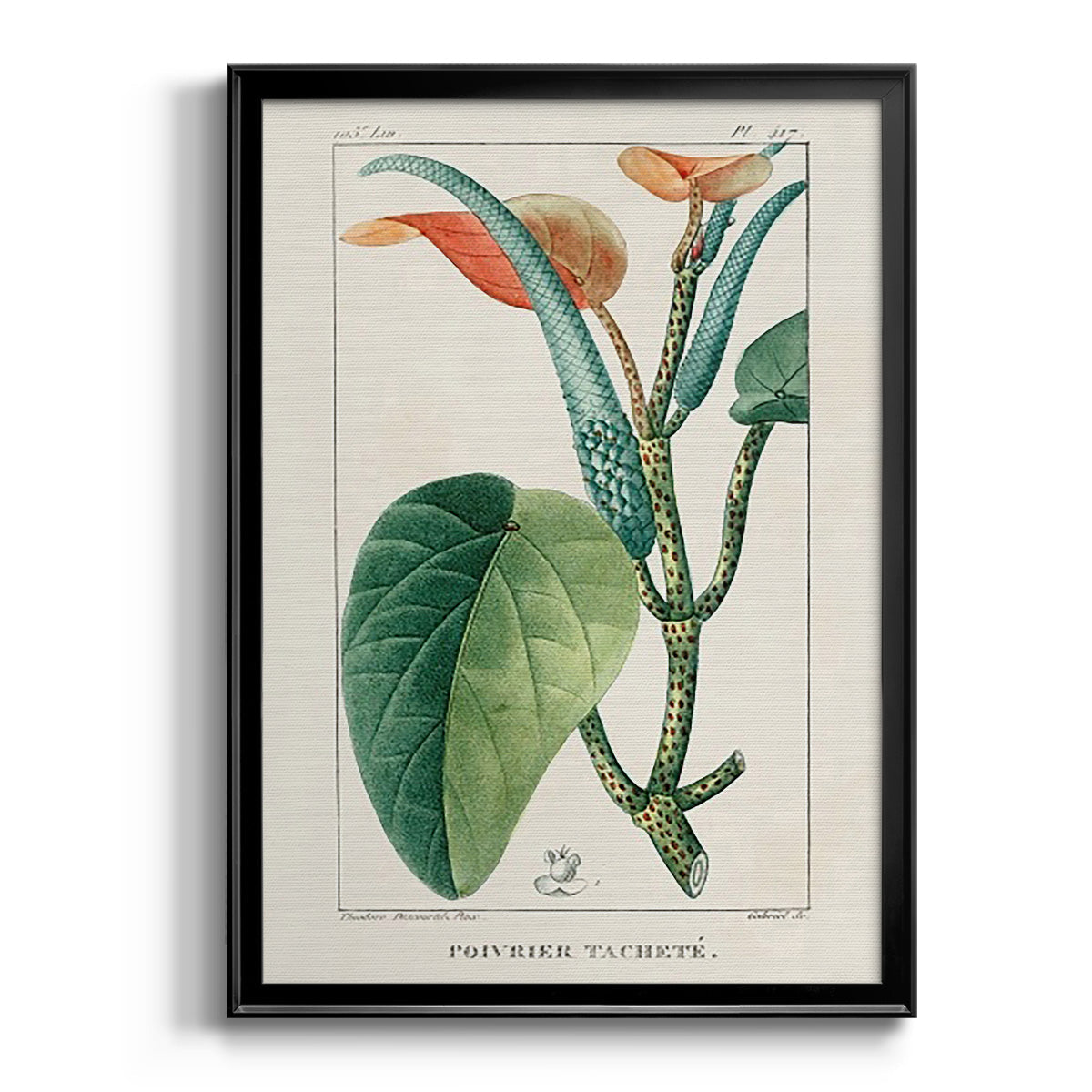 Turpin Tropical Botanicals II - Modern Framed Canvas Print