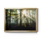 Light and Trees - Modern Framed Canvas Print