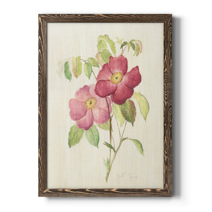 Dusty Rose II - Barnwood Framed Canvas Print