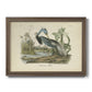 Audubons Louisiana Heron Premium Framed Canvas- Ready to Hang